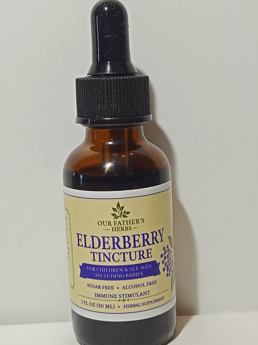 Elderberry for all ages, pregnant & nursing mothers, babies, children, adults, | Our Father's Herbs